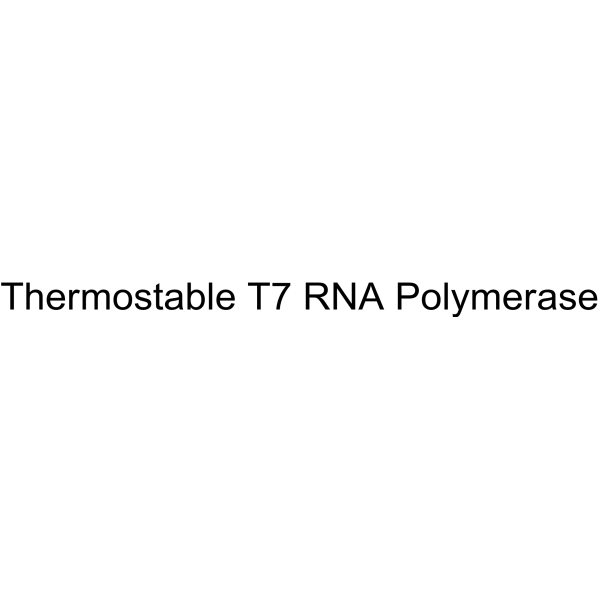 Thermostable T7 RNA Polymerase